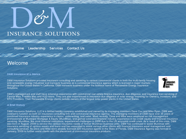 www.dminsurancesolutions.com