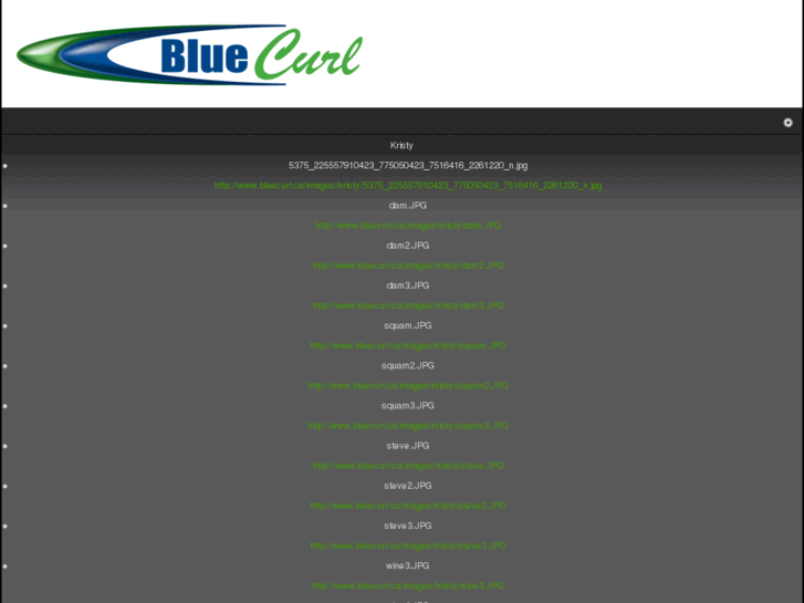 www.bluecurl.ca