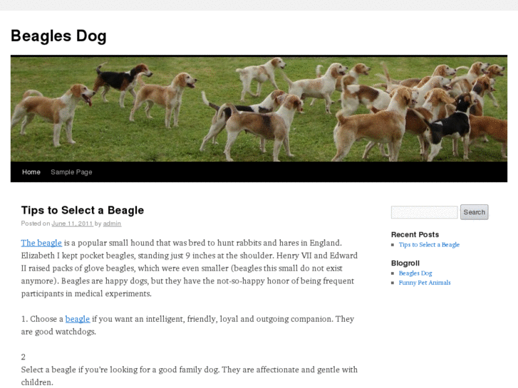 www.dunlowbeagles.com