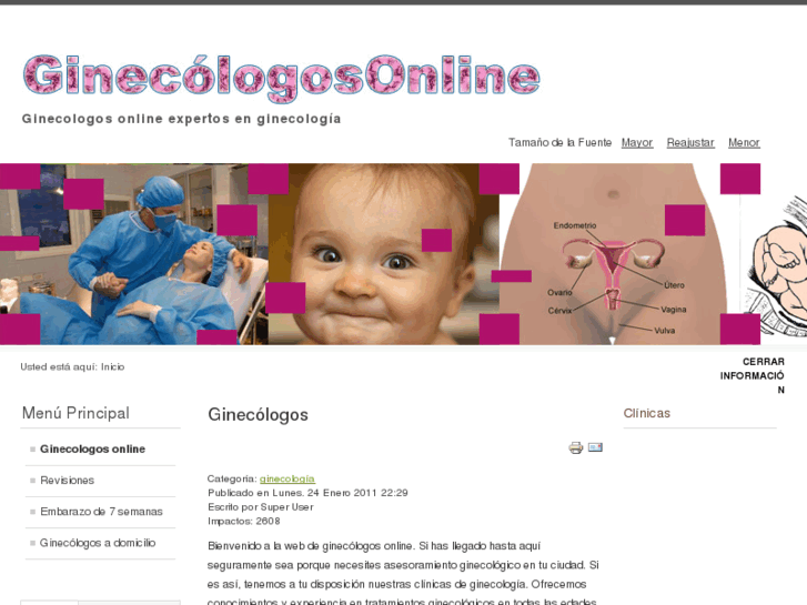 www.ginecologosonline.com