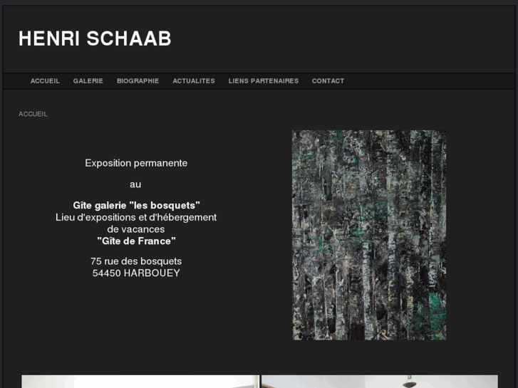 www.henri-schaab.com