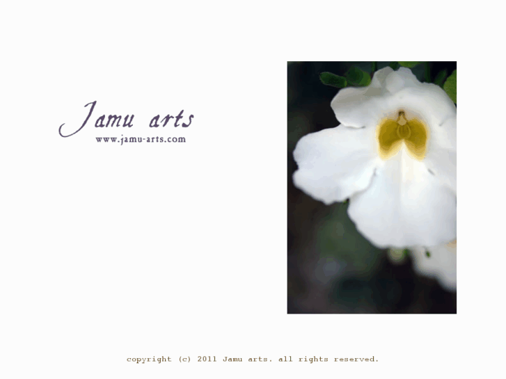 www.jamu-arts.com