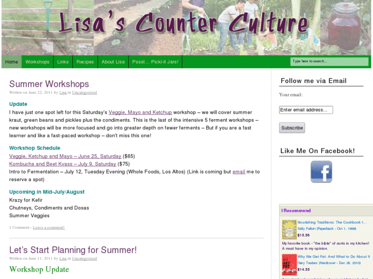 www.lisascounterculture.com