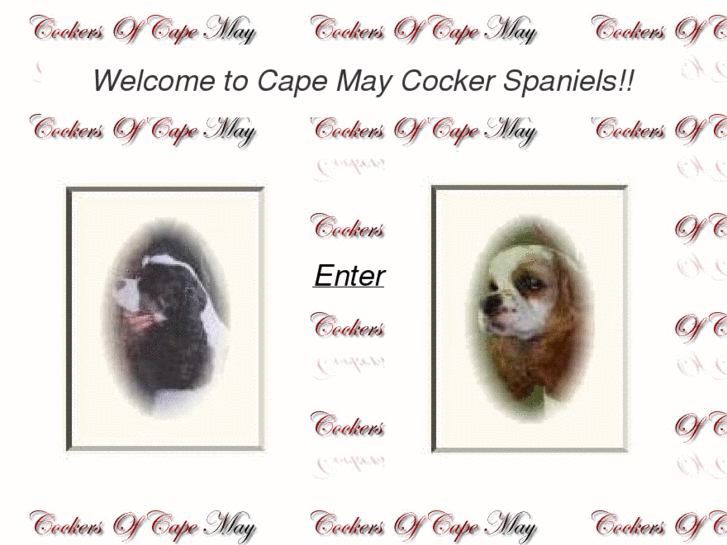 www.capemaycockerspaniels.com