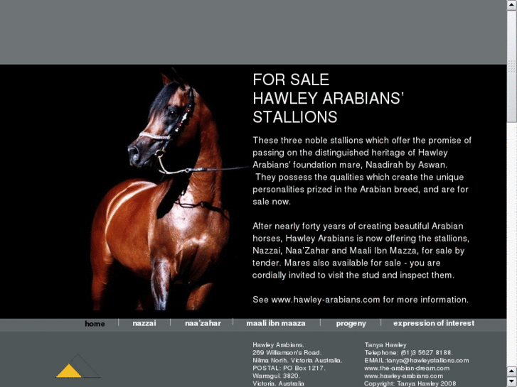 www.hawleystallions.com