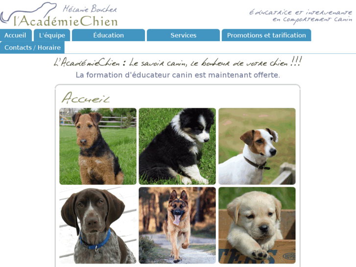 www.lacademiechien.com