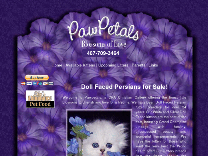 www.persiankittensforsale-pawpetals.com