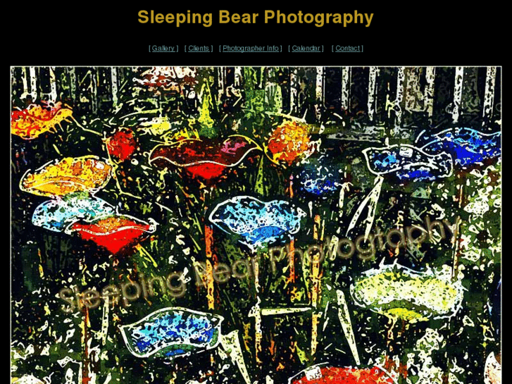 www.sleepingbearphoto.com