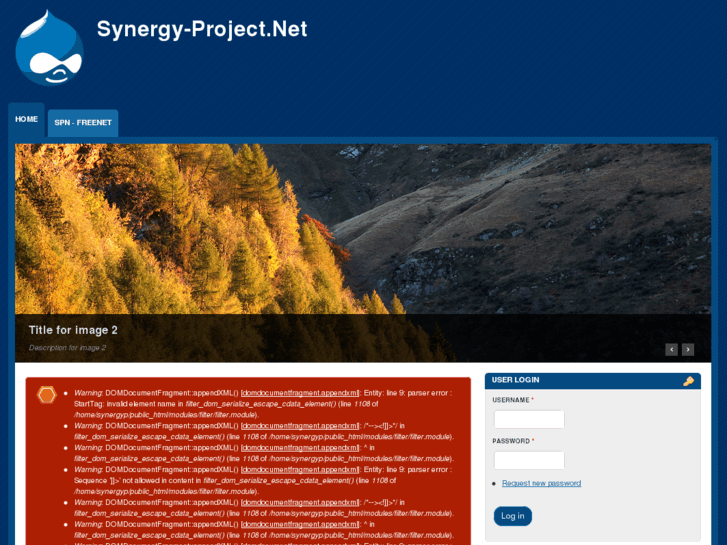 www.synergy-project.net