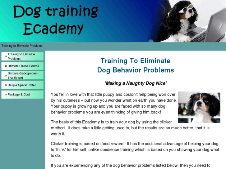 www.dogtrainingecademy.com