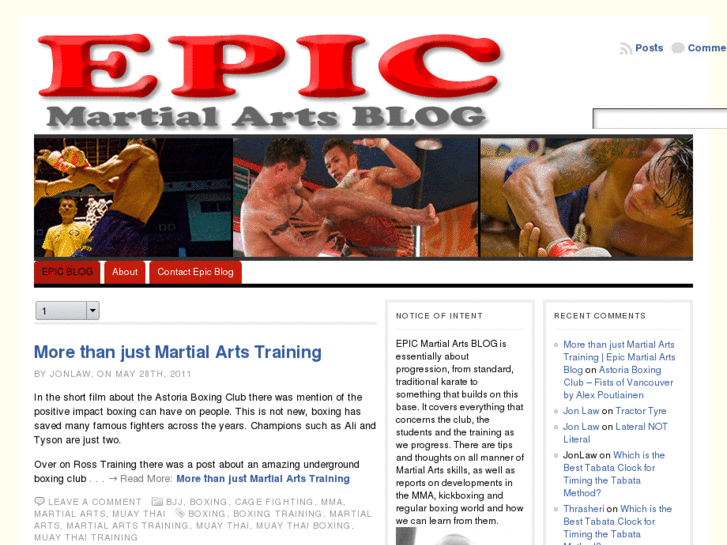 www.epicmartialartsblog.com