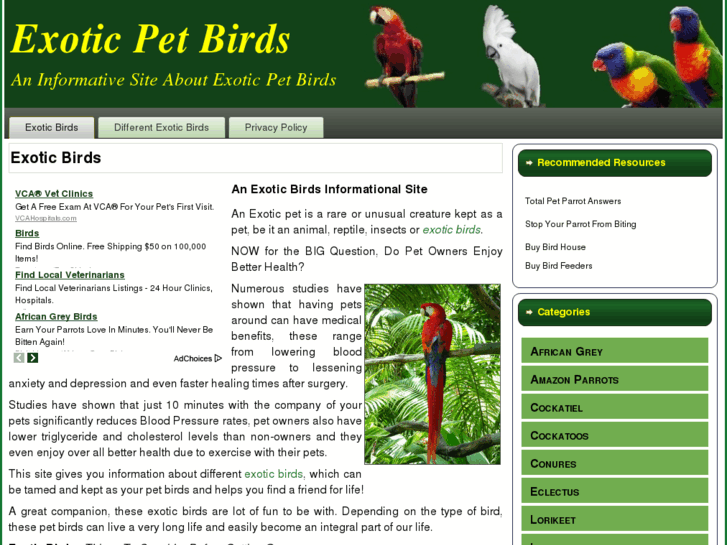 www.exotic-pet-birds.info