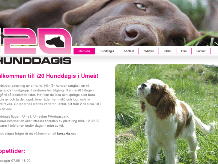 www.hunddagis.org