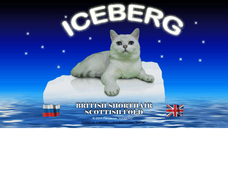 www.iceberg-cats.com