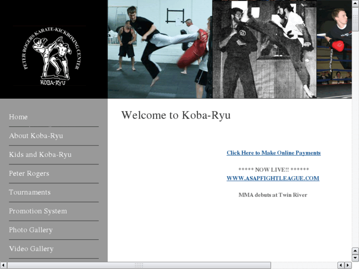 www.koba-ryu.com