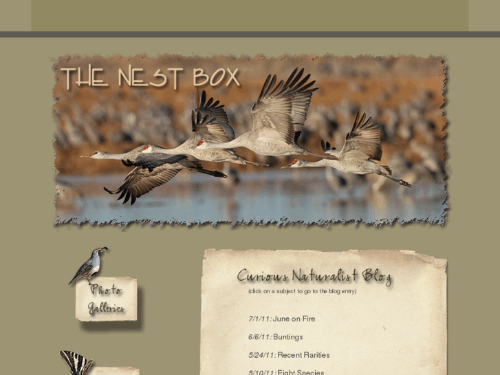 www.nestbox.com