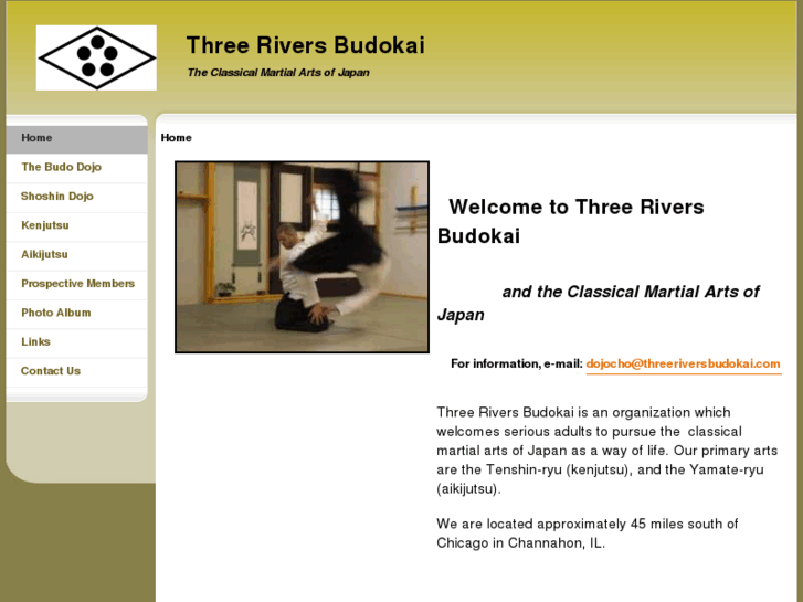 www.threeriversbudokai.com