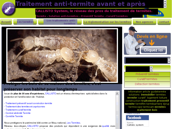 www.traitement-termite.com