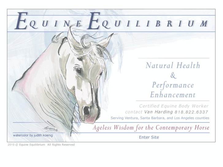 www.equine-equilibrium.com