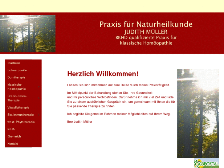 www.naturheilpraxis-jmueller.com