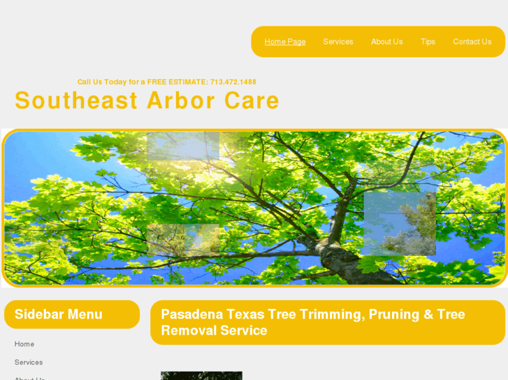 www.treeserviceclearlake.com