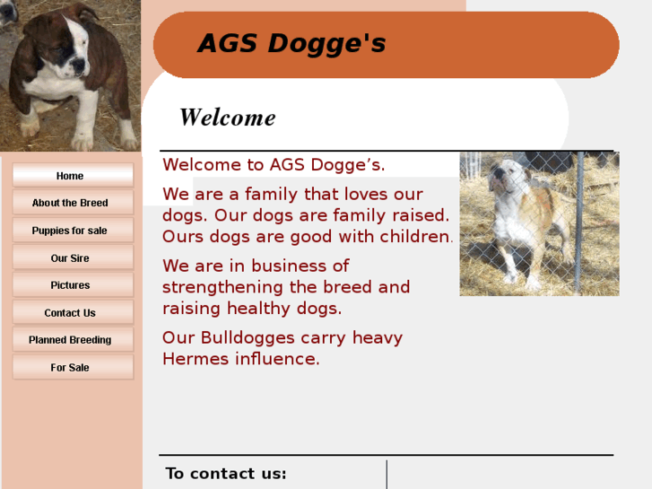 www.agsdogge.com