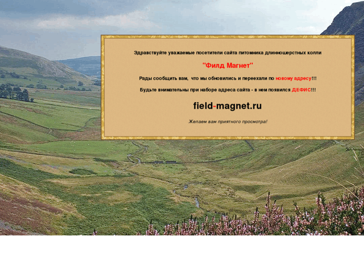 www.fieldmagnet.ru