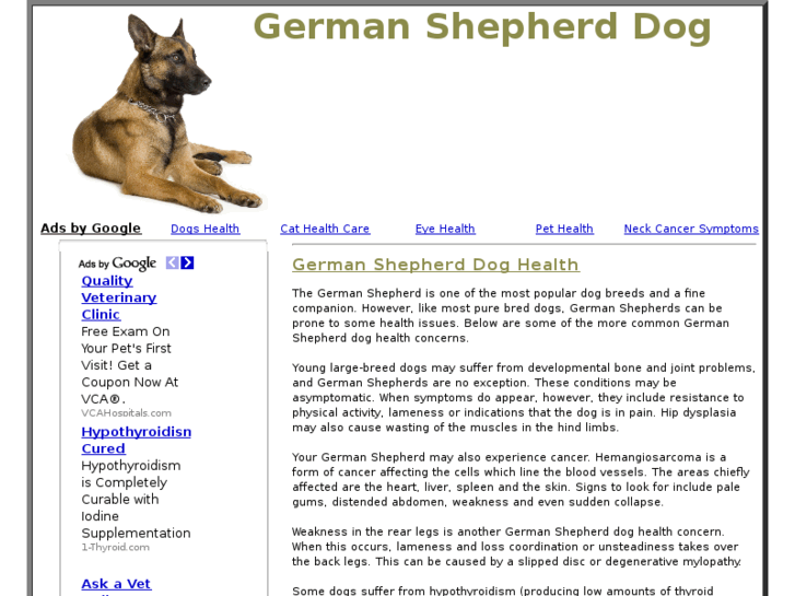 www.germanshepherddoghealth.com