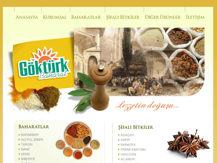 www.gokturkbaharat.com