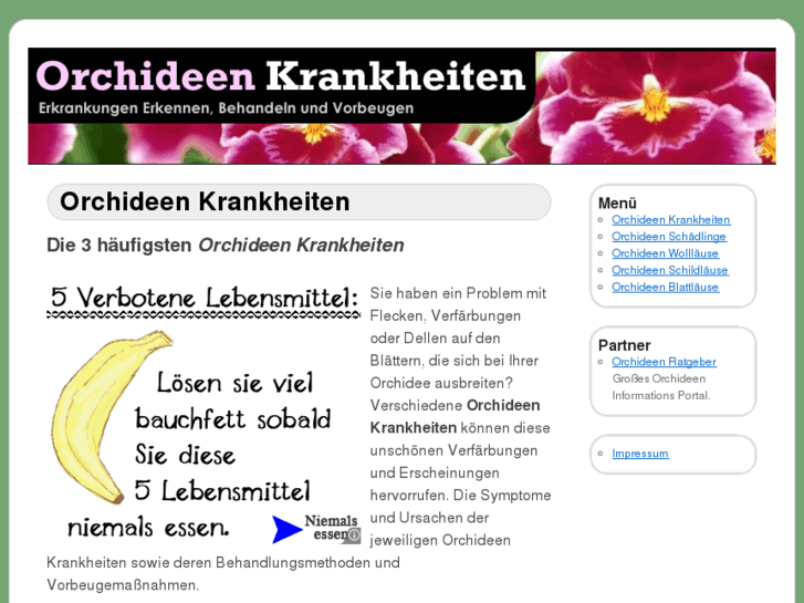 www.orchideenkrankheiten.de