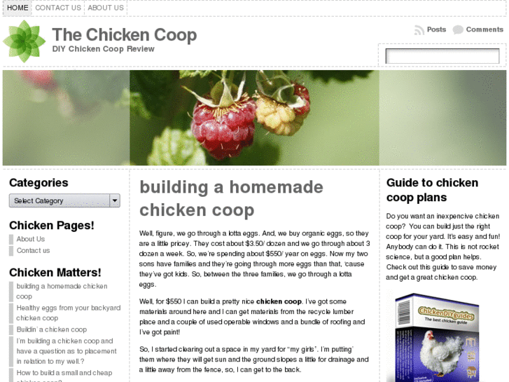 www.the-chicken-coop.net