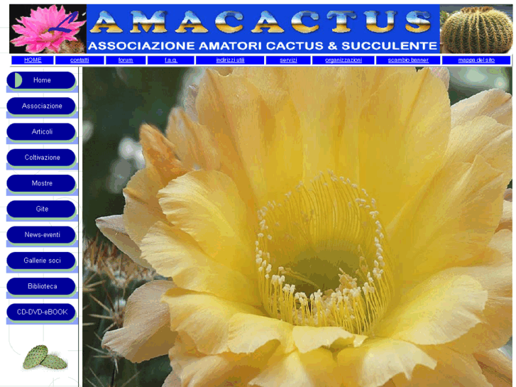 www.amacactus.it
