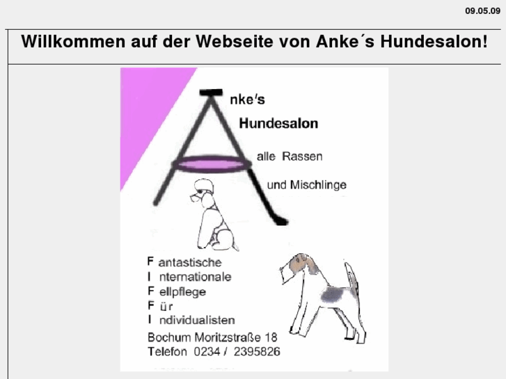 www.ankes-hundesalon.com