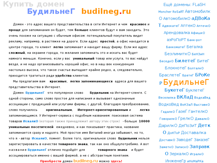 www.budilneg.ru