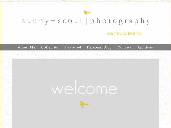 www.sunnyandscout.com