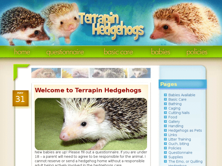 www.alaskanhedgehogs.com