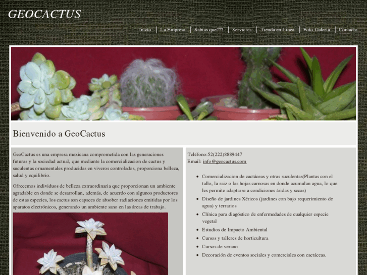 www.geocactus.com