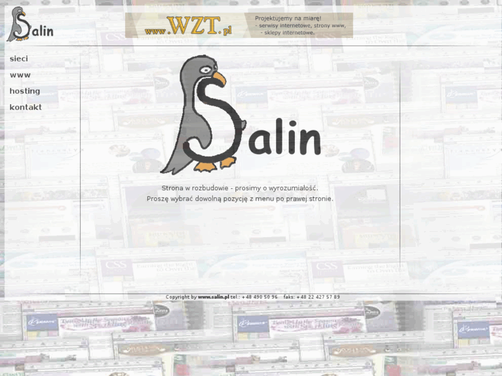 www.salin.pl