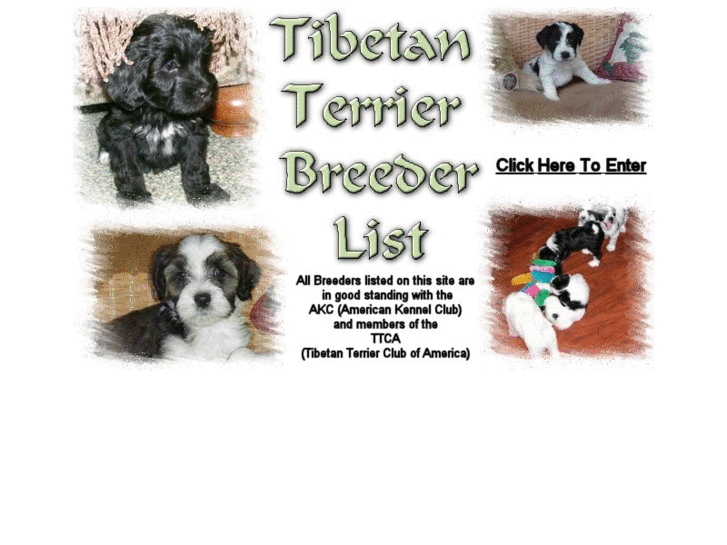 www.tibetanterrierbreederlist.com