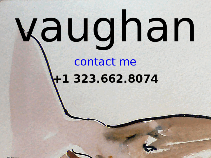 www.vaughandaviesart.com