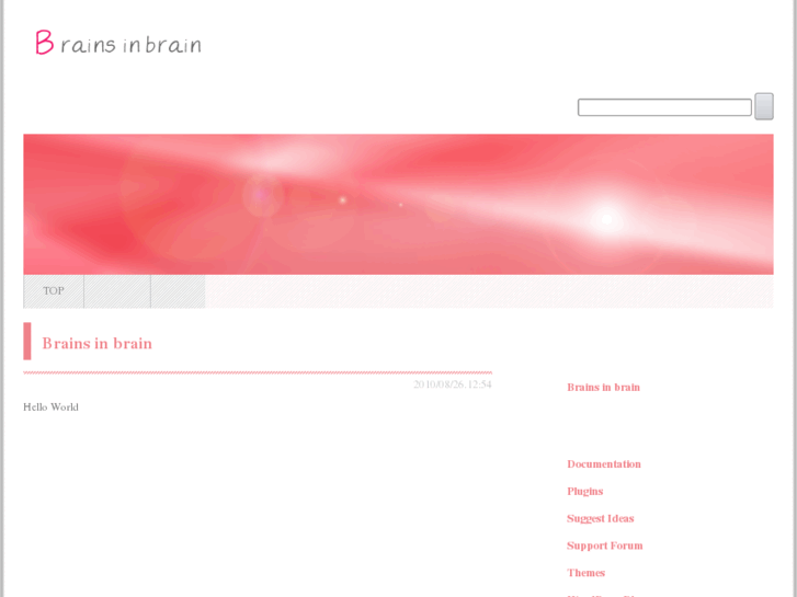 www.brainsinbrain.net