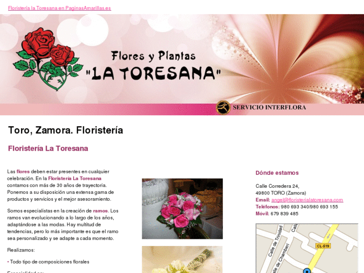 www.floristerialatoresana.com