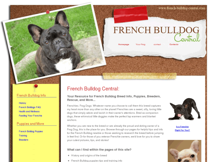 www.french-bulldog-central.com