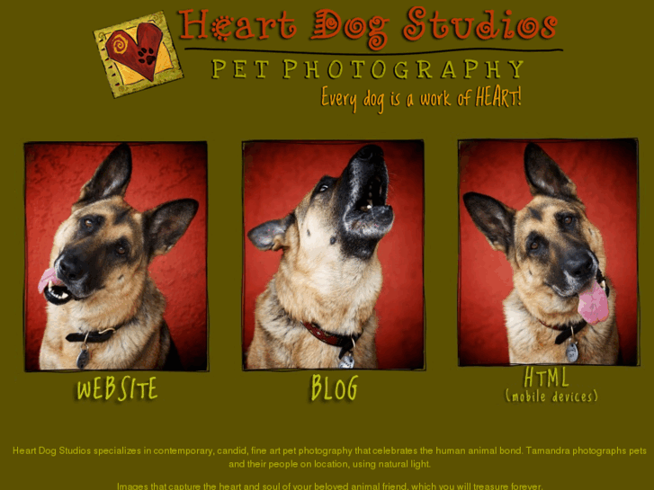 www.heartdogstudios.com