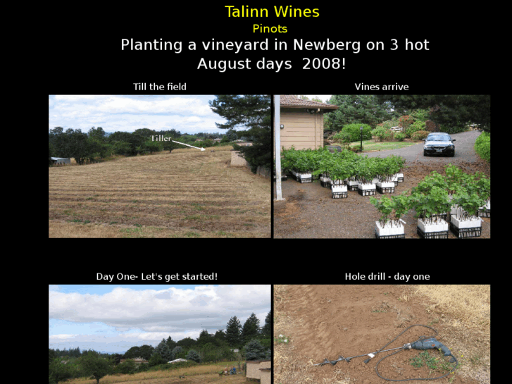 www.talinnvineyards.com