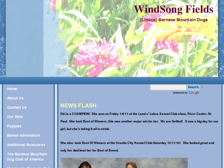 www.windsongfields.com