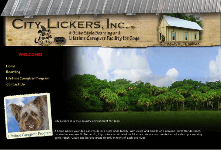 www.citylickersinc.com