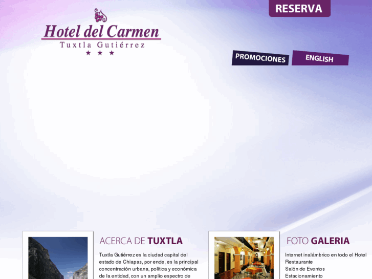 www.hoteldelcarmen.net