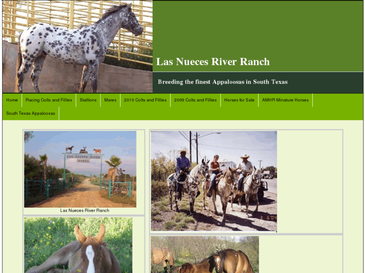 www.lasnuecesriverranch.com