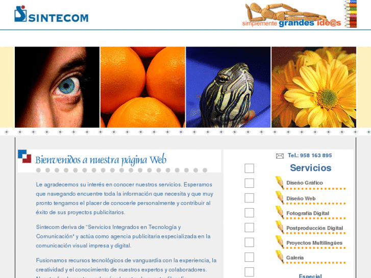 www.sintecom.es